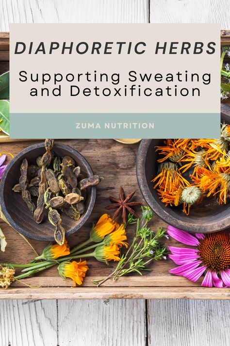 Diaphoretic herbs are known for their capacity to promote sweating. Understanding diaphoretic herbs and their properties can be a valuable addition to one's herbal toolkit, particularly when dealing with fevers or the need to detoxify the body. Womens Health Care, Skin Benefits, Women's Health, Health Issues, Womens Health, The Body, Apothecary, Health Care, Herbs