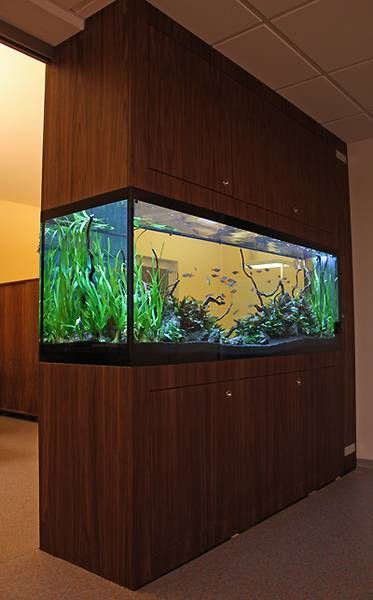 a partition tank lets you see it from 3 sides Big Fish Tanks, Fish Tank Wall, Aquarium Cabinet, Partition Ideas, Wall Aquarium, Amazing Aquariums, Fish Tank Design, Fresh Water Fish Tank, Diy Aquarium