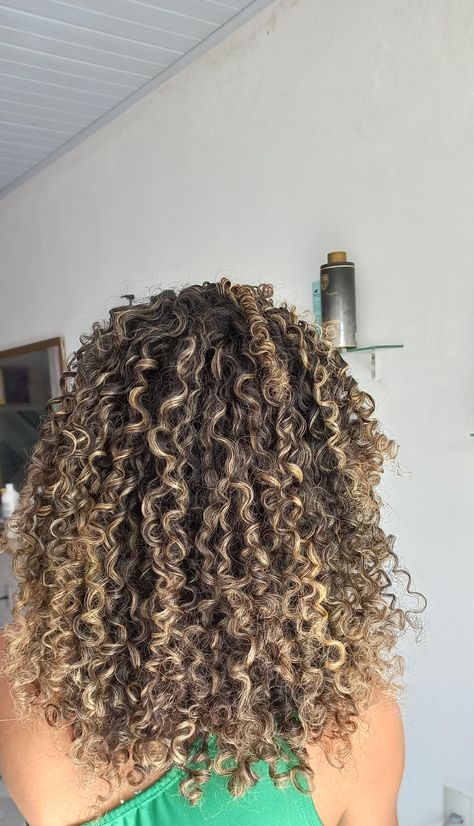 morena iluminada 3b Curly Hair Blonde Highlights, 3b Hair With Highlights, Carmel Highlights On Brown Hair Curly Hair, Highlits On Curly Hair, Honey Blonde Curls Highlights, Black Curly Hair With Highlights Blonde, Butterscotch Curly Hair, Butterscotch Highlights On Curly Hair, Blond Curly Highlights