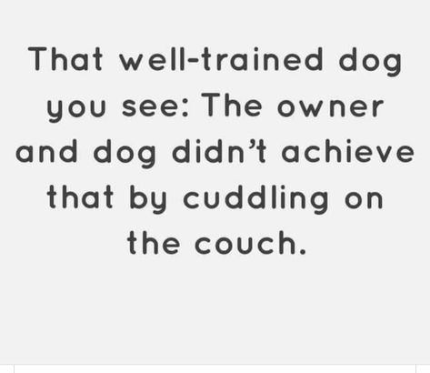 Service Dog Quotes, Dog Training Quotes, Dog Infographic, Training Quotes, Gordon Setter, Training Room, Dog School, Cuddling On The Couch, Dog Info