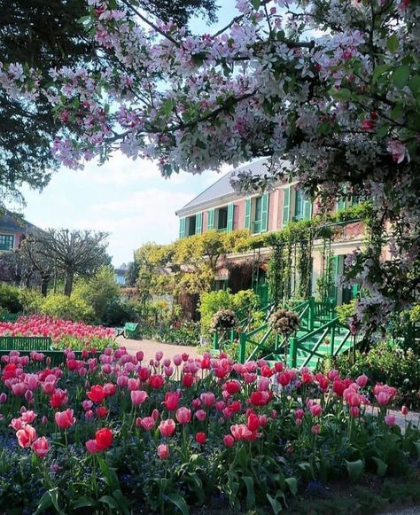 Giverny Monet, Monet Garden Giverny, Monet Garden, Giverny France, Gorgeous Houses, Gorgeous Gardens, Perfect Pink, Water Lilies, Spring Garden