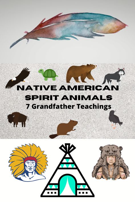 Native American Spirit Animals has been a way of life since time immemorial. Indigenous people have understood the importance of all living things and look to the animals as guides and teachers.  In this post were are going to dive into some of the meanings of the animals to certain tribes.  #NativeAmerican #SpiritAnimals #Teachings #IndigenousEducation Native American Map Indian Tribes, Native American Feathers Meaning, Native American Animal Art, Animals And Their Meanings, 7 Grandfather Teachings, Native American Education, Grandfather Teachings, Native American Spirit Animals, Native American Knowledge