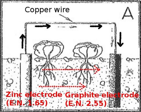 Electro Culture, Alkaline Body, Giant Vegetable, Tesla Coil, Survival Life Hacks, Energy Healing Spirituality, Copper Tubing, Free Energy, Permaculture