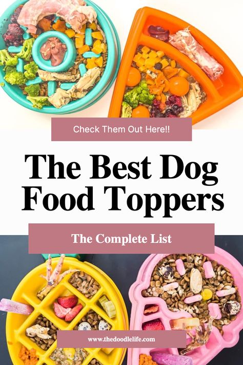 Healthy Dog Dinner, Healthy Add Ins For Dog Food, Good Things To Add To Dog Food, Healthy Dog Food Add Ins, Things To Add To Dog Food, Homemade Food Topper For Dogs, Dog Food Enhancer, Best Dog Food Toppers, Puppy Kibble Toppers