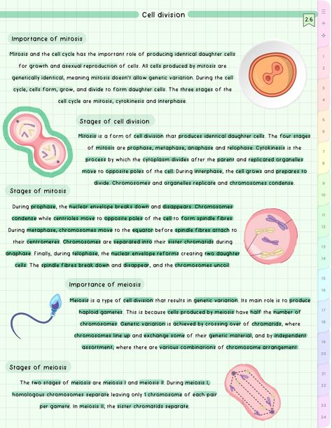 cute aesthetic biology notes Cell Division Notes Aesthetic, Cell Cycle And Cell Division Notes, Cell Division Notes, Division Notes, Cell Cycle And Cell Division, Aesthetic Biology Notes, Aesthetic Biology, Biochemistry Notes, Bio Notes