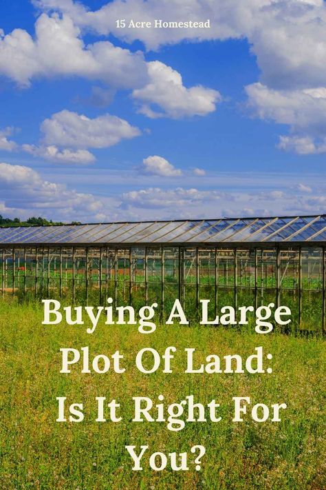 Have you recently bought a large plot of land to homestead on? Here are some simple tips and suggestions to help you figure out what to do with all that land. Homestead Property, Homestead Lifestyle, Buying Land, Homesteading Animals, Acre Homestead, Modern Homesteading, Plot Of Land, Homestead Life, Pioneer Life