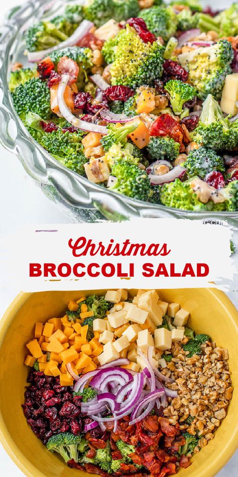 Holiday Broccoli Salad, Holiday Broccoli Recipes, Winter Broccoli Salad, Christmas Broccoli Salad, Christmas Cold Side Dishes, Cold Side Dishes For Christmas, Cold Broccoli Salad Recipes, Winter Potluck Ideas, Salad Recipes For Christmas