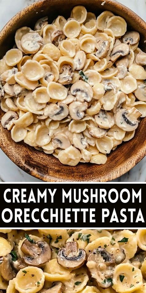 🍄 Creamy Mushroom Orecchiette Pasta is a rich and comforting dish! With sautéed mushrooms and a velvety cream sauce, this pasta is perfect for cozy dinners. It’s quick to prepare and works well for family meals or date nights. 💡 Save this pin and enjoy creamy pasta goodness tonight! #MushroomPasta #OrecchiettePasta #ComfortFood #PastaRecipes #EasyDinnerIdeas 🍝🍄 Farfalline Pasta Recipes, Orcchettie Pasta Recipes, Mushroom Bowtie Pasta, Mushroom Cream Sauce Pasta, Mushroom Pasta Recipes, Ricotta Pasta Sauce, Orecchiette Pasta Recipes, Orecchiette Recipes, Cream Sauce Pasta