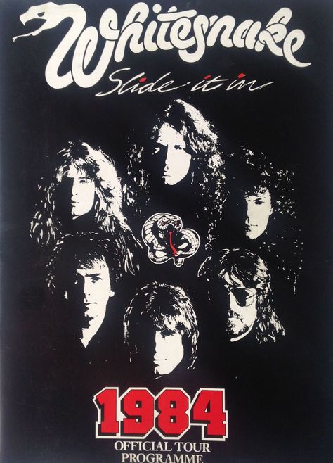 Whitesnake Band, Rock Wallpaper, Poster Rock, David Coverdale, Rock Band Posters, Rock And, Band Poster, Heavy Metal Rock, Flip Chart