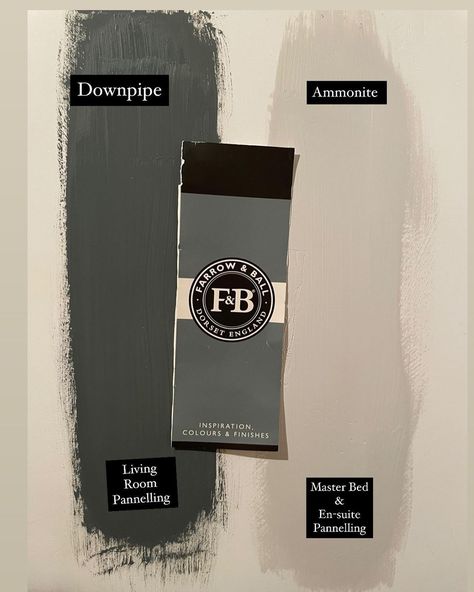 The Barrons on Instagram: “Got Some Paint Testers Today After Doing Lots Off Research On Here on Farrow and Ball Paints I Came Home With Down Pipe & Ammonite For…” Farrow And Ball Downpipe Exterior, Down Pipe Paint Color, Downpipe Farrow And Ball, Ammonite Farrow And Ball, Ammonite Paint, Farrow And Ball Kitchen, Green Doors, Home Wall Colour, Wall Colours