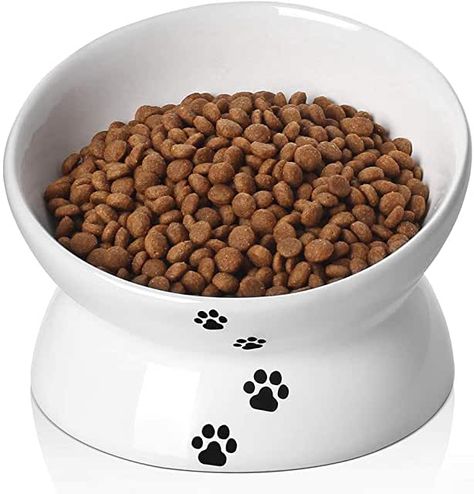 Amazon.co.uk : Y YHY Cat Bowl,Raised Cat Food Bowls Anti Vomiting,Tilted Elevated Cat Bowl, Ceramic Pet Food Bowl for Flat Faced Cats, Small Dogs,Protect Pet's Spine,Dishwasher Safe Flat Faced Cat, Cat Food Dish, Pet Food Bowl, Cat Water Bowl, Elevated Dog Bowls, Best Cat Food, Cat Snacks, Food Plate, Food Bowls