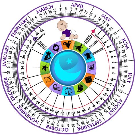 Pregnancy Due Date Calculator: When is my baby due? Just fill in your information below to see when your little one will ENTER THE WORLD! Pregnancy Calendar Due Date, Pregnancy Date, Pregnancy Due Date Calculator, Due Date Calculator, Gender Predictor, Pregnancy Due Date, Pregnancy Calendar, Pregnancy Calculator, Gender Prediction