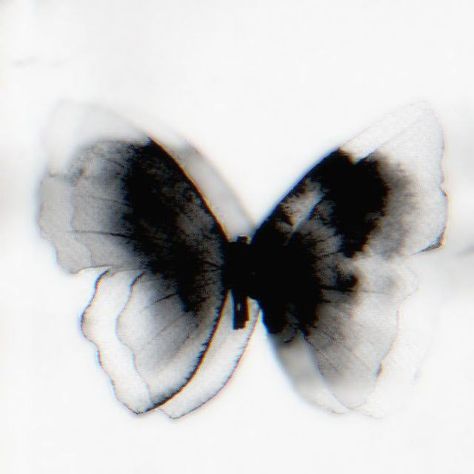 Set Profile Aesthetic, Black And White Aesthetic Highlight, Instagram Pp Aesthetic, Butterfly Icon Aesthetic, Pp Aesthetic, Dark Pp, Ig Icons Highlights Aesthetic, Butterfly Icon, Minimalist Wallpaper Phone