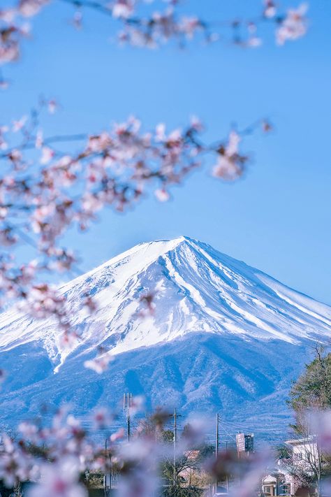 Japan Tourist Spots, Japan Places To Visit, Onsen Ryokan, Japan Tourist, Things To Do In Japan, Japan Bucket List, Land Of The Rising Sun, Japan Vacation, Japan Travel Tips