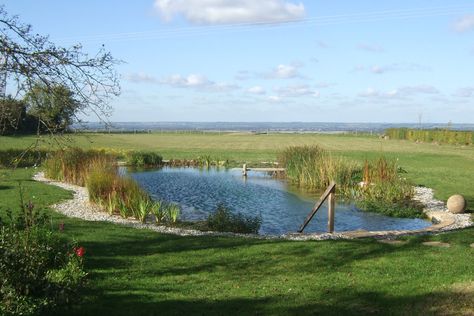 Swimming Pool Natural, Organic Pool, Pond Natural, Pool Natural, Swim Pond, Landscape Waterfall, Beautiful Pond, Bio Pool, Swimming Ponds