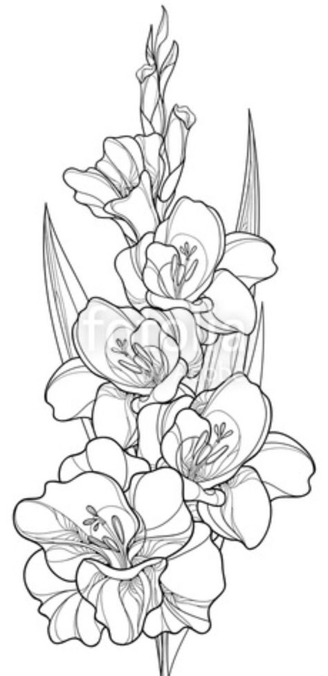 Catelaya Flower Tattoo, Tattoo Of Gladiolus, Carnation And Gladiolus Flower Tattoo, Gladiolus Butterfly Tattoo, Gladiola Drawing, Narcissus And Gladiolus Flower Tattoo, Poppies And Gladiolus Tattoo, Gladiolas Drawing, Neo Traditional Gladiolus Tattoo