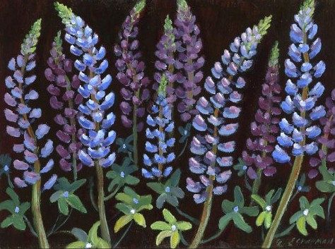 Lupines 5x7 original acrylic by linchapman on Etsy Black Background Painting, Lupine Flowers, Glue Art, Indian Paintbrush, Floral Home Decor, Floral Art Print, Glass Garden Art, Painting Floral, Nature Painting