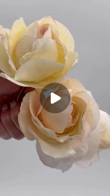 Paper Flower Video, Sugar Flowers Tutorial, Fondant Flower Tutorial, Big Wedding Cakes, Wafer Paper Flowers, Brides Basket, Baby Shower Table Decorations, Making Fabric Flowers, Gum Paste Flowers