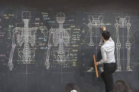 Anatomy teacher with his drawing lecture on a chalkboard. Back To School Ads, Memes For Teachers, Anatomy Teacher, Tonal Drawing, School Ads, Teacher Classroom Sign, Blackboard Drawing, Classroom Memes, World History Classroom