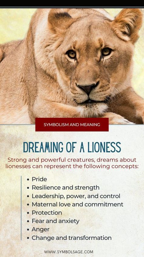 Lioness Meaning, Lion Spirit Animal, Lioness Quotes, Demon Symbols, Symbolism Meaning, Spirit Animal Meaning, Animal Meanings, Lioness Tattoo, Lion Quotes