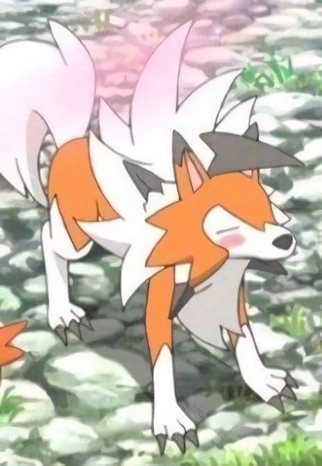 Lycanroc screenshot Rowlett Pokemon, Rockruff Pokemon, Pokemon Amv, Pokemon Alola, App Anime, Wolf Spirit Animal, Pokemon Oc, Pokemon Comics, Pokemon Memes