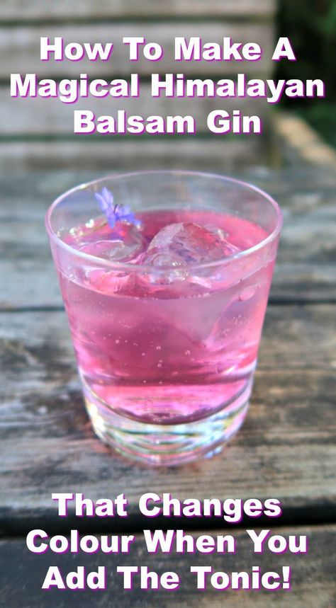 When I set out to create this Himalayan Balsam Gin recipe I had no idea of the surprise that was lying in wait for me. Read on to discover how to make a genuinely magical colour changing gin infusion. Weird Cocktails, Gin Infusions, Himalayan Balsam, Homemade Gin, Gin Recipe, Raspberry Gin, Infused Gin, Flavoured Gin, Homemade Liquor