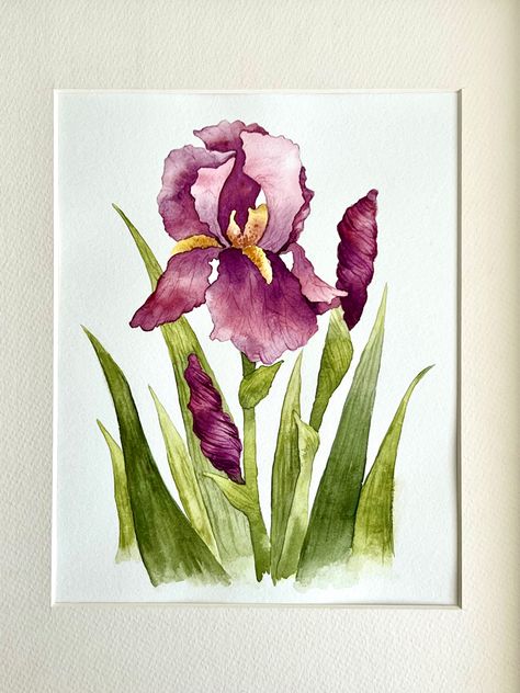 Paint a watercolor Iris! Iris Drawing, Whimsical Art Paintings, Iris Art, Prismacolor Art, Iris Painting, Watercolor Flowers Tutorial, Watercolor Flower Art, Bearded Iris, Watercolor Art Lessons