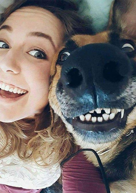 26 Repentinos selfies que sorprenden, hacen reír y, a veces, incluso asustan Dog Photoshoot Pet Photography, Dog Photography Poses, Animal Photoshoot, Photos With Dog, Dog Photoshoot, Me And My Dog, Perfect Selfie, Pet Animals, Airedale Terrier