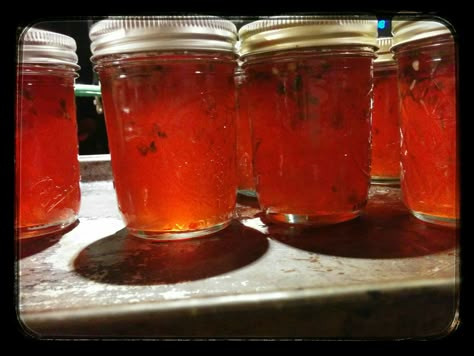 Muscadine Pepper Jelly Recipe, Muscadine Recipe, Muscadine Jelly, Pepper Jelly Recipes, Red Pepper Jelly, Hot Pepper Jelly, Grape Recipes, Homemade Jelly, Pepper Jelly