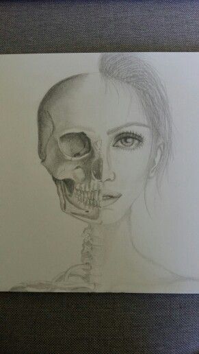 half skull half human face - drawing Half Human Half Skull, Half Skeleton Half Human Drawing, Half Skull Half Face Drawing, Skull Pics, Human Face Drawing, Pumpkin Girl, Half Skull, Skeleton Drawings, Human Drawing