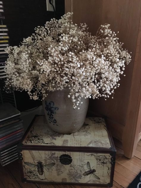 Recycled dried baby’s breath flower Dried Baby Breath, Dried Florals, Baby Breath, Baby S Breath, Floral Arrangement, Baby Nursery, Flower Vases, Potted Plants, Dried Flowers