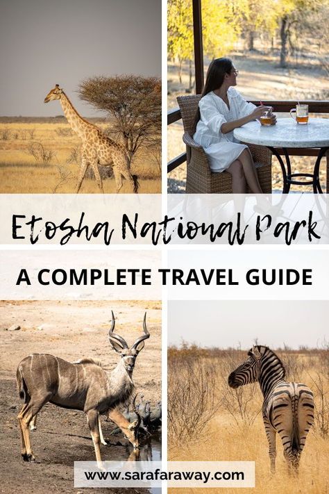 Everything you need to know for an epic self-driving safari at Etosha National Park in Namibia, including the best places to stay at Etosha National Park. Kenya Photography, Africa Travel Beautiful Places, Etosha National Park, Safari Trip, Maasai Mara, Kenya Travel, Kenya Safari, Safari Tent, Africa Destinations