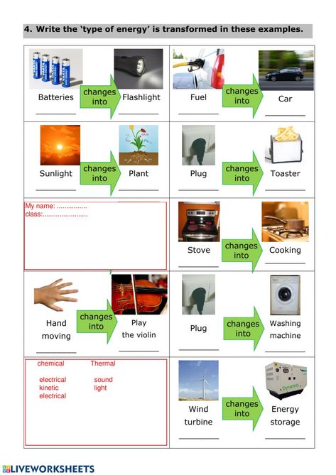 Energy Transformations Activities, Transfer Of Energy, Characteristics Of Living Things, Kinetic And Potential Energy, Energy Transformation, Energy Transformations, Sound Energy, Potential Energy, Kinetic Energy