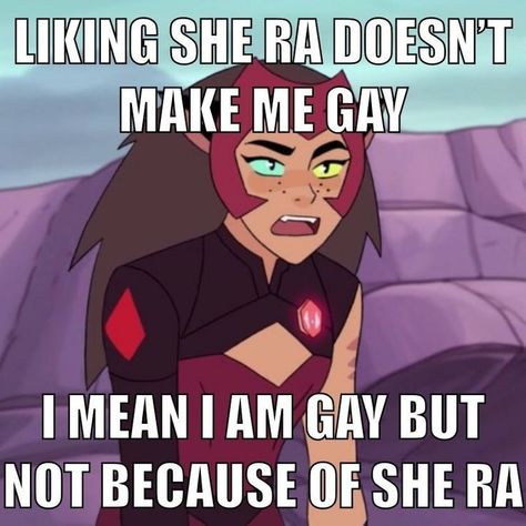 She Ra Characters, She-ra Catra, Gay Humor, Gay Memes, She Ra Princess, Princess Cartoon, She Ra Princess Of Power, Princess Of Power, She Ra