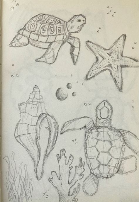 Ocean Animal Sketches Easy, Cute Aesthetics Drawings, Turtle Sketch Simple, Cute Sea Life Drawings, Mermaid Drawings Sketches, Cute Drawings Turtle, Ocean Drawings Aesthetic, Drawings Sea Creatures Art, Aesthetic Things To Sketch