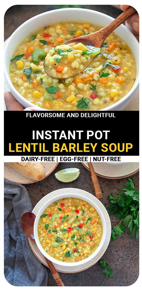 Barley Lentil Soup, Vegetarian Barley Soup, Soup Barley, Pressure Cooker Lentils, Lentils Instant Pot, Nutritious Soup, Vegetable Barley Soup, Lentil Vegetable Soup, Lentils Vegan