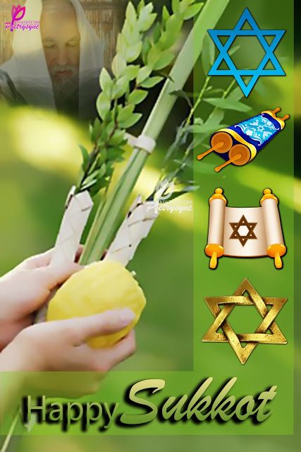 Poetry: Sukkot Festival Greetings Cards with Wishing Quotes Happy Sukkot Images, Wishing Quotes, Bon Sabbat, Lulav And Etrog, Art Meaningful, Happy Sukkot, Yom Teruah, Happy Rosh Hashanah, Shabbat Shalom Images