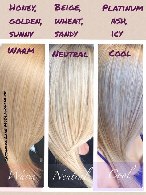 Blonde Blonde Variations, Neutral Blonde Hair, Base Hair Color, Cool Blonde Hair Colour, Warm Blonde Hair, Beige Blond, Neutral Blonde, Color Formulas, Hair Color Formulas