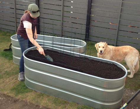 Trough Planter Ideas, Raised Veggie Beds, Pig Trough, Galvanized Trough, Raised Bed Gardens, Horse Trough, Metal Trough, Feed Trough, Trough Planter