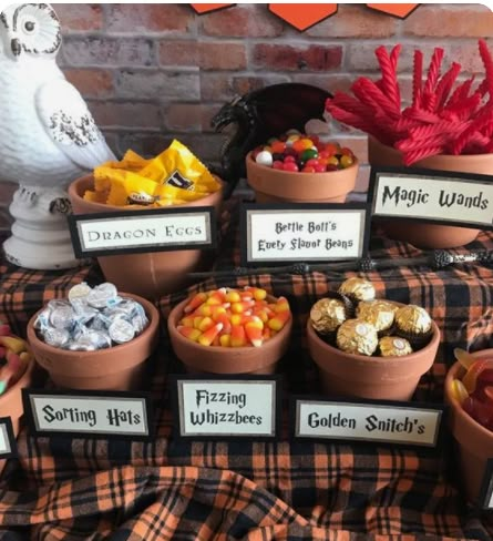 Harry Potter Theme Birthday Party, Tort Harry Potter, Gateau Harry Potter, Harry Potter Motto Party, Felix Birthday, Harry Potter Snacks, Harry Potter Parties Food, Harry Potter Shower, Harry Potter Birthday Party Ideas