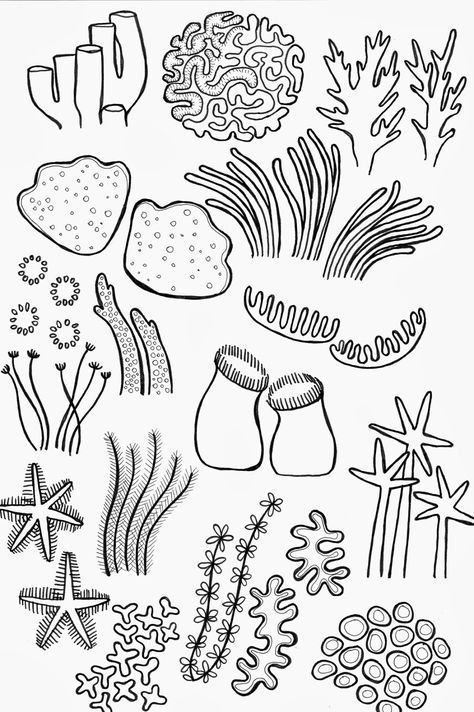 Drawing Underwater Coral Reef Coral Reef Drawing, Coral Drawing, Coral Reef Color, Coral Reef Art, Ocean Drawing, Sea Drawing, Sea Coral, Lukisan Cat Air, Coral Reefs