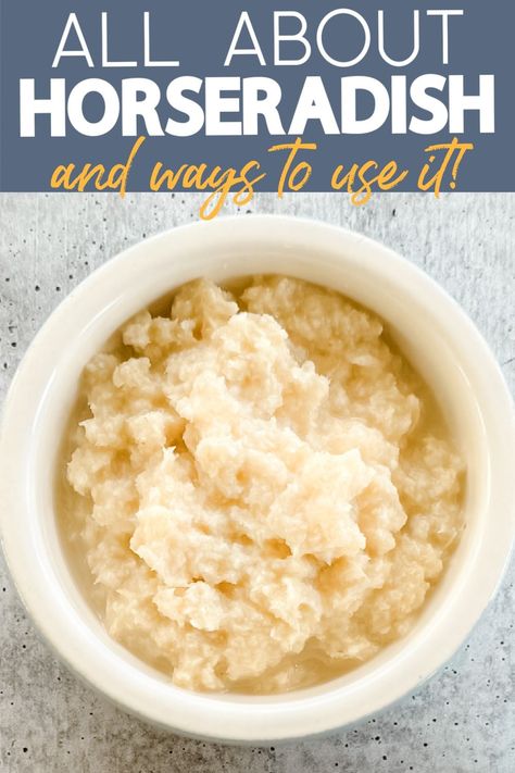 What Is Horseradish? Horseradish Dishes, Fresh Horseradish Recipes, Horseradish Plant, Growing Horseradish, Homemade Russian Dressing, Homemade Horseradish, Horseradish Recipes, Horseradish Cream Sauce, Creamy Horseradish