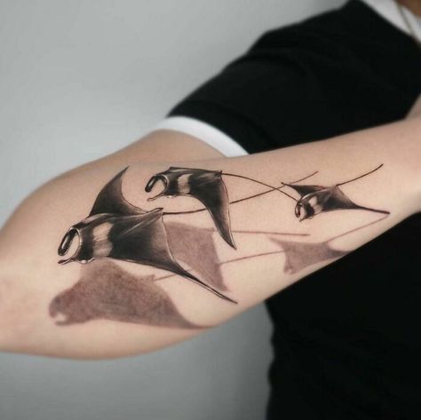 Manta Ray Tattoo Forearm, Minimal Shark Tattoo, Strand Tattoo, Manta Tattoo, Tattoo Shadow, Manta Ray Tattoo, Water Tattoos, Indian Feather Tattoos, Dolphin Tattoo