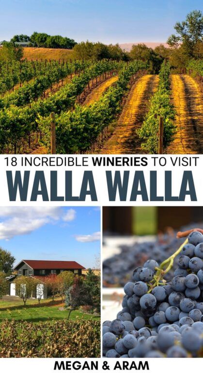 Walla Walla Wineries, Washington Wineries, Washington Wine Country, Walla Walla Washington, Wine Vineyards, Wine Tasting Experience, Winery Tours, Walla Walla, Usa Travel Guide