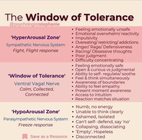 Social Work Theories, Emotionally Safe, Window Of Tolerance, Therapist Tools, Paint Therapy, Staying Calm, Distress Tolerance, Dbt Skills, Mental Healing