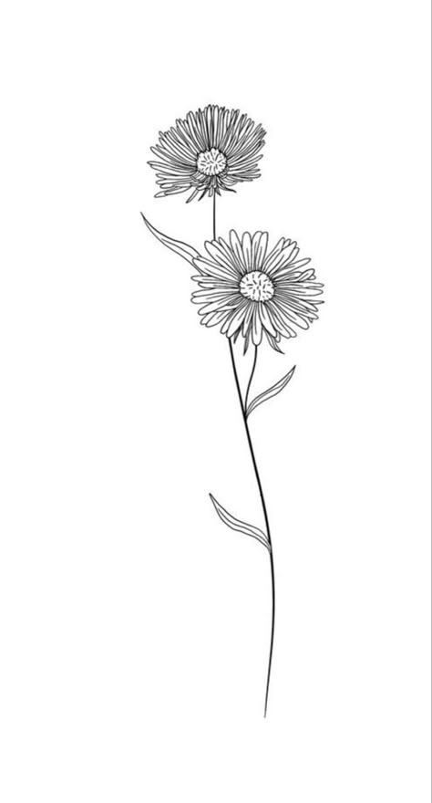 Fine Line Aster Tattoo, Long Stem Daisy Tattoo, Daisy April Tattoo, Fine Line Gerbera Tattoo, Aster Flower Line Drawing, Small Tattoo Floral, Aster Flower Drawing Simple, Aster Fine Line Tattoo, Fine Line Gerbera Daisy Tattoo