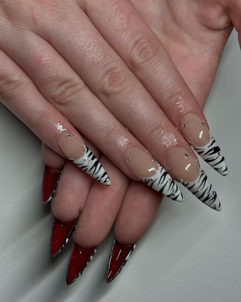 u already know with the zebra stripes and the red bottomsssss👠🦓 Green And Zebra Nails, Red And Zebra Nails, Long Zebra Nails, Blood Splatter French Tip Nails, Zebra Print Almond Nails, Zebra Design Nails, Y2k Zebra Nails, Zebra Almond Nails, White Tiger Nails