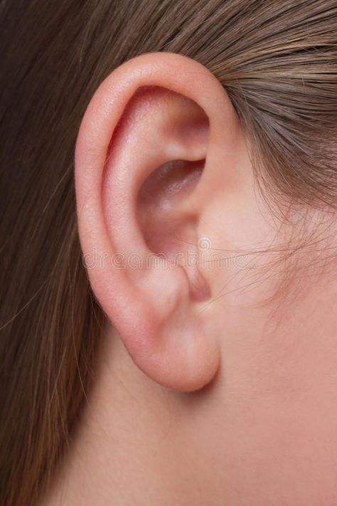 A young woman's ear close-up. A young woman's ear very close-up , #AFFILIATE, #woman, #young, #close, #ear #ad Ear Close Up, Ears Reference Photography, Ear Reference Photo, Ear References, Ear Painting, Ears Reference, Ear Photo, Ear Images, Ear Drawing