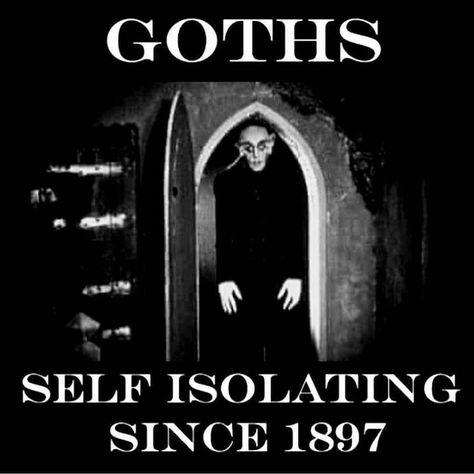 Goth Humor, Goth Quotes, Goth Memes, Gothic Coffin, Witch Quotes, Goth Subculture, Vampire Goth, Gothic Aesthetic, Gothic Horror