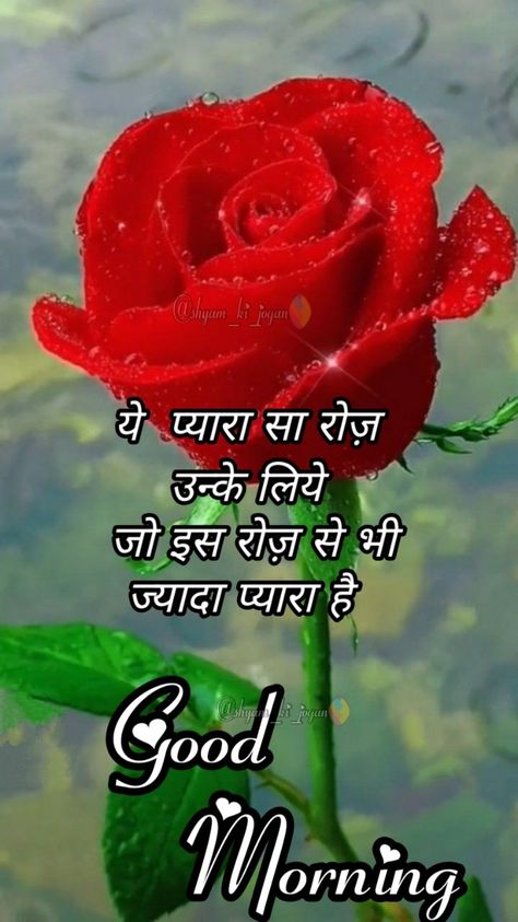 Good Morning Love Quotes In Hindi, Good Morning In English, Good Morning Love Quotes, Good Morning Kisses, Funny Images With Quotes, Ravi Shankar, Morning Kisses, Good Night Love Messages, Good Morning Quotes For Him